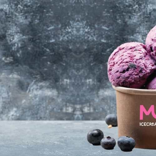 Activism-Art-1st-page-banner